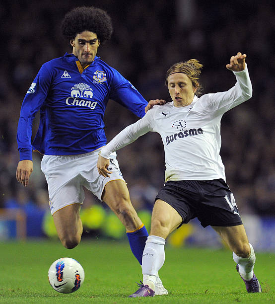 仅展示了日 仅展示了日